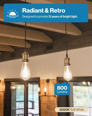 Sunco 16 حزمة من مصابيح Edison LED ST64، لمبة مقاومة للماء ذات فتيل عتيق شفاف، 800 لومن، 8 وات (ما يعادل 60 وات)، ST19، 3000 كلفن أبيض دافئ، قاعدة متوسطة E26، ديكور UL قابل للتعتيم in Kuwait