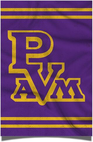صبار الصحراء عرض البراري A&M ملصق جامعة PVAMU مقاس 11 × 17 بوصة ديكور مكتب الغرفة ديكور رسمي للمروحة (11 × 17، الإصدار 3) in Saudi Arabia