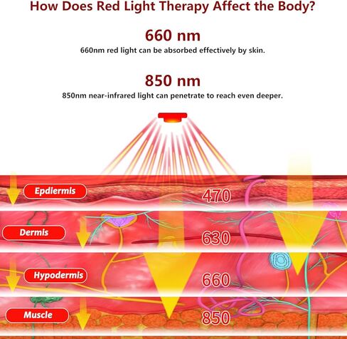 Red Light Therapy Wrap for Hands Wrist, Infrared Light Therapy for Ankle, 4000mAh Battery Portable Adjustable Cordless Red Light Pad for Hand Joint Muscle Comfort, 660nm & 850nm in Kuwait