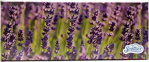 (4 Pack) Scotties 2-Ply Facial Tissues, 148 Sheets Per Box in Kuwait