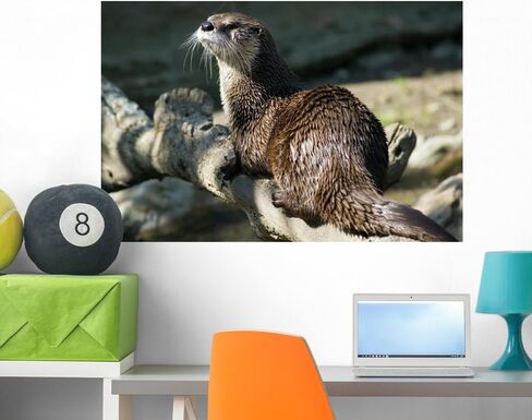 Wallmonkeys River Otter Wall Mural Peel and Stick Graphic (36 in W x 24 in H) WM348349 in Saudi Arabia