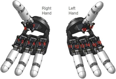 Seeed Studio Amazing Hand, The Open-Source Robotic Hand Developer Kit (Left Hand) in Saudi Arabia