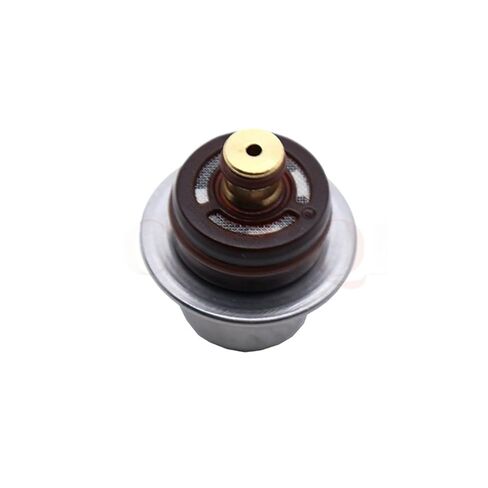 0280160615 Fuel Pressure Regulator in Kuwait