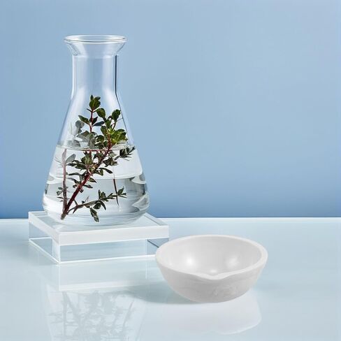 2pcs Ceramic Evaporating Dishes with Spout Heat Resistant Lab Petri Bowls for Solvent Evaporation Scientific Experiments and Easy to Clean in Saudi Arabia