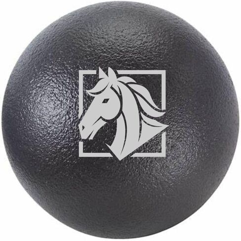 Gallop Glam Calming & Noise-Reducing Horse Ear Plugs – Soft Foam Equestrian Calming Aid for Noise Reduction, Perfect for Riding, Training, Shows, Trailering – Reusable (Black/Silver, 6-Pack) in Saudi Arabia