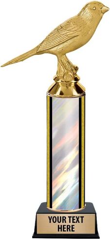 9.25" Canary Bird Trophies - Canary Bird Silver Trophy Awards Prime in Kuwait