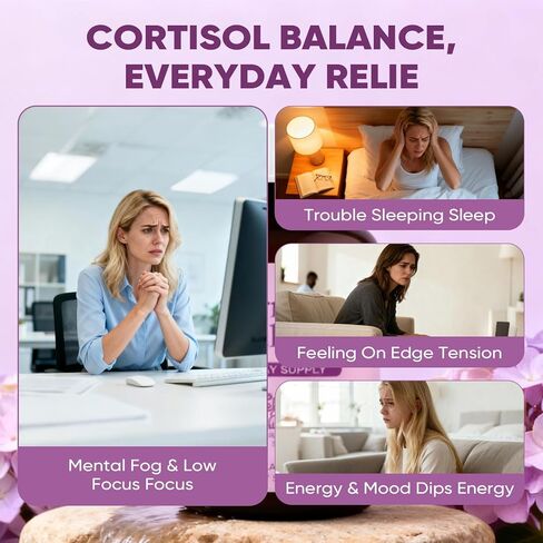 مكملات التوازن الهرموني للنساء - إدارة الوزن لتخفيف أعراض انقطاع الطمث، ودعم الحالة المزاجية والطاقة، مع أشواغاندا وجذور الزنجبيل، 60 كبسولة in Kuwait