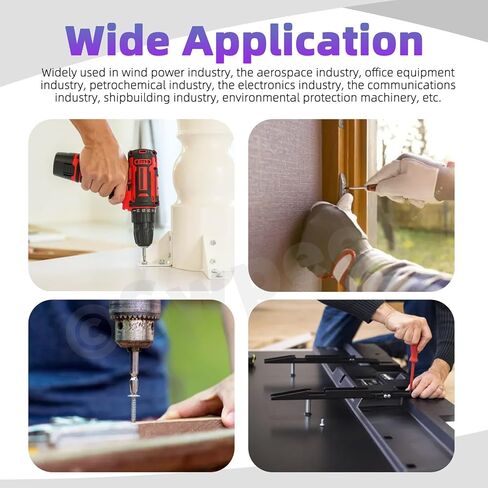Swpeet 630 قطعة 21 مقاس M1 M1.2 M1.4 M1.6 M2 M2.5 M3 304 مجموعة متنوعة من مسامير الماكينة ذات الرأس المسطح من الفولاذ المقاوم للصدأ فيليبس، براغي صغيرة مستديرة الرأس مسطحة متقاطعة الرأس، برغي صغير لتوصيل الأثاث in Saudi Arabia