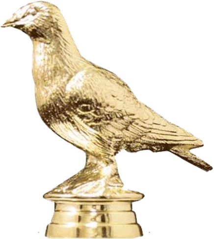 جوائز الطيور مقاس 9.25 بوصة - جوائز كأس طيور الحمام المخصصة Prime in Kuwait