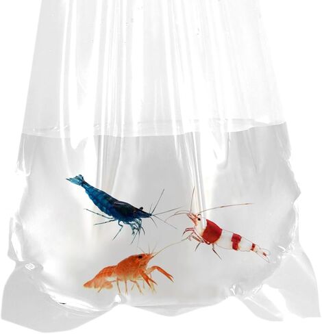 Fishery Bags 3 Inches Leak Proof Rounded Bottom Clear Plastic Fish Bags for Shrimps and Betta Fish Transport. (3" x 14" / 100 Pack / 2 Mil) in Kuwait