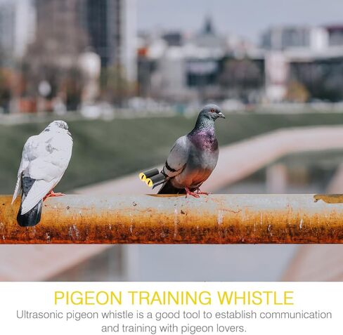 صفارات الحمام الصاخبة من Mipcase، 2 صفارات تدريب الحيوانات الأليفة للطيور لتدريب الحمام، لون عشوائي in Kuwait