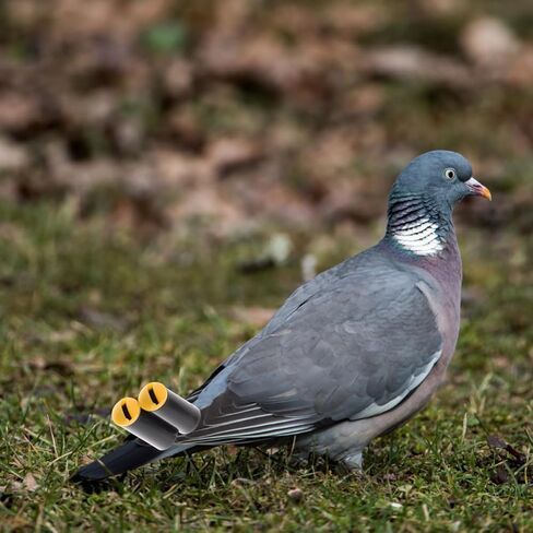 صفارات الحمام الصاخبة من Mipcase، 2 صفارات تدريب الحيوانات الأليفة للطيور لتدريب الحمام، لون عشوائي in Kuwait