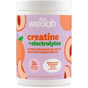 Wellah Creatine + مسحوق الإلكتروليتات (الخوخ الأبيض النكتارين) 30 حصة - مزيج مشروب الترطيب مع 3 جرام من الكرياتين مونوهيدرات in Kuwait