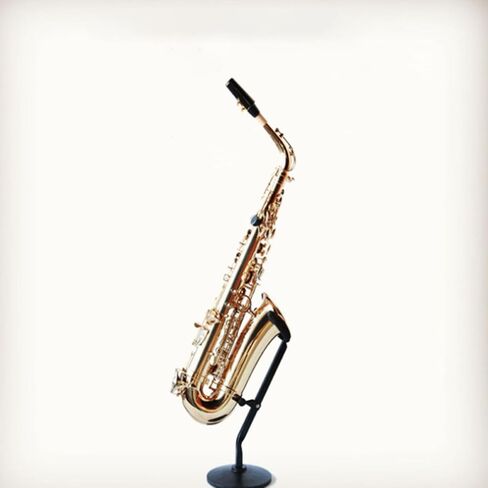 Toddmomy Foldable Alto Saxophone Stand Iron Bracket with Non-slip Base Saxophone Storage Rack Holder for Alto Sax Playing and Display in Kuwait