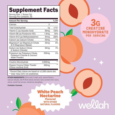 Wellah Creatine + مسحوق الإلكتروليتات (الخوخ الأبيض النكتارين) 30 حصة - مزيج مشروب الترطيب مع 3 جرام من الكرياتين مونوهيدرات in Kuwait
