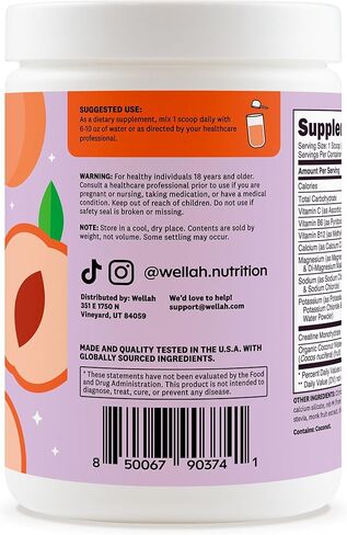 Wellah Creatine + مسحوق الإلكتروليتات (الخوخ الأبيض النكتارين) 30 حصة - مزيج مشروب الترطيب مع 3 جرام من الكرياتين مونوهيدرات in Kuwait