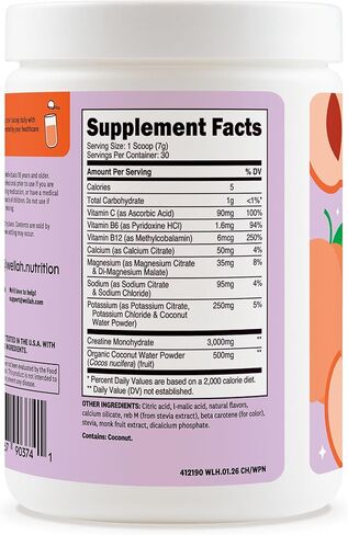 Wellah Creatine + مسحوق الإلكتروليتات (الخوخ الأبيض النكتارين) 30 حصة - مزيج مشروب الترطيب مع 3 جرام من الكرياتين مونوهيدرات in Kuwait