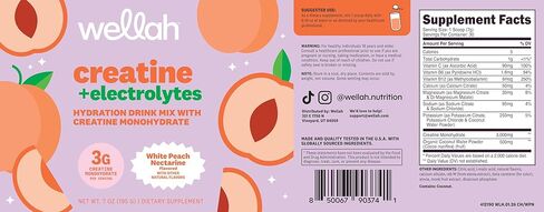 Wellah Creatine + مسحوق الإلكتروليتات (الخوخ الأبيض النكتارين) 30 حصة - مزيج مشروب الترطيب مع 3 جرام من الكرياتين مونوهيدرات in Kuwait