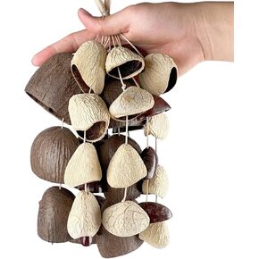 شاكر قذيفة الطبيعية الأفريقية الطبيعية قذيفة بذور كاشو حشرجة الموت أدوات قرع اليد للموسيقى التأمل اليوغا (بني + أبيض + رمادي) in Kuwait