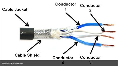 كابل ميكروفون CANARE L-4E6S، رباعي النواة، أسود (60 قدم) in Kuwait