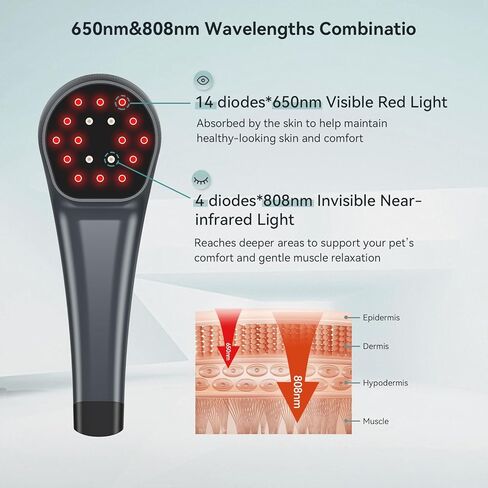 Dog Red Light Therapy Device, 650nm & 808nm Near Infrared Red Light Therapy Wand for Human and Pets, Portable Handheld Red Light Therapy for Joint, Muscle in Saudi Arabia