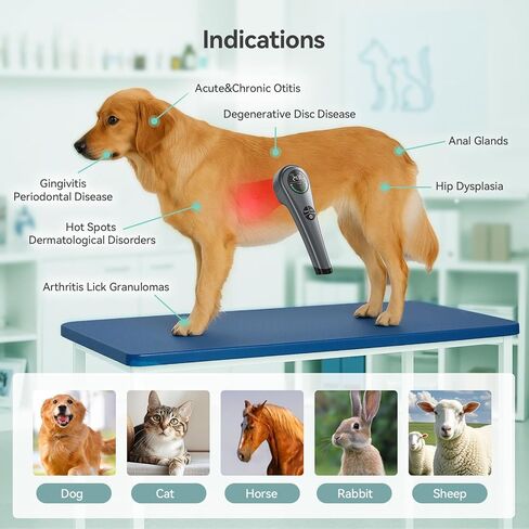 Dog Red Light Therapy Device, 650nm & 808nm Near Infrared Red Light Therapy Wand for Human and Pets, Portable Handheld Red Light Therapy for Joint, Muscle in Saudi Arabia