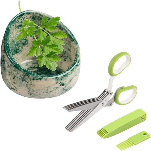 Pottery Herb Stripper Bowl Set – 2 Piece, Including 5-Blade Stainless Steel Herb Cutter Scissors, Herb Stripping Tool & Handmade Pottery Herb Stripper Bowl, For Stripping Leaves and Rhizomes (Green) in Saudi Arabia