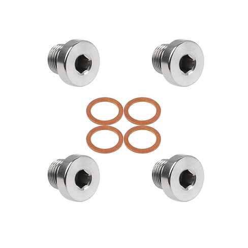 4Pcs 304 Stainless Steel M10 x 1 Inner Hex Head Pipe Plug with Copper O-Ring in Saudi Arabia
