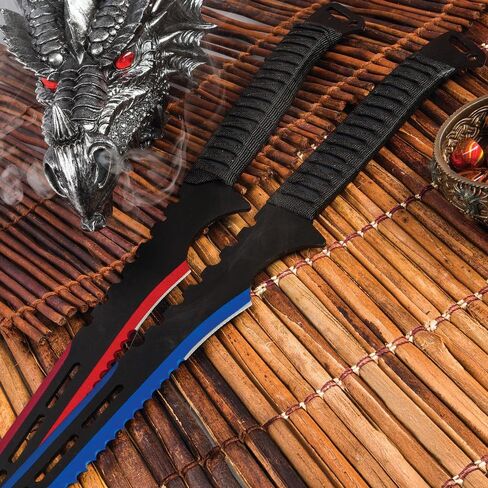 Fire and Ice Twin Sword Set with Black Nylon Double Sheath | Two Fantasy Swords | Fire with Red Accents | Ice with Blue Accents | 19 1/2" Stainless Steel Blades | Comfortable Rope-Wrapped Handles in Kuwait