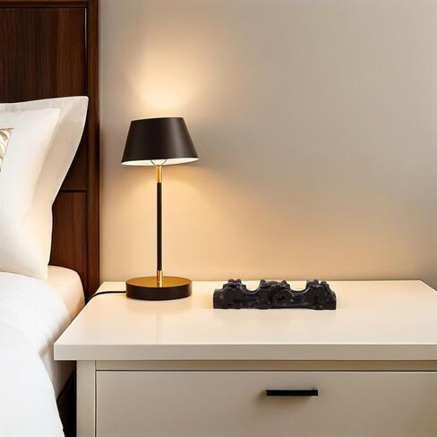 حامل الناي الخشبي من سوبفوكس لسطح المكتب، رف الآلات الموسيقية من الخشب الصلب بتصميم منحوت، تخزين متعدد الوظائف لاثنين من المزامير والأقلام، منظم ملحقات الموسيقى للرياح in Kuwait