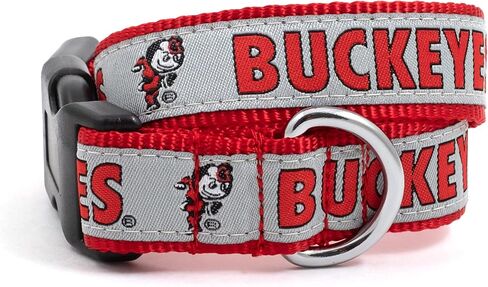 The Worthy Dog Ohio Ohio State Brutus Buckeye الأنيق والمكالمات النايلون المتينة ، مشبك قوي قابل للتعديل - متوسط ​​، أحمر in Kuwait