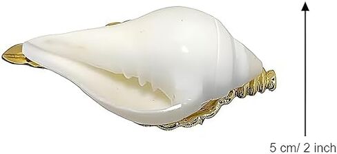 محارة طبيعية غير قابلة للنفخ مع حامل نحاسي لنحت صدف بوجا على الحائط لديكور المنزل. in Kuwait