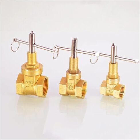 1PCS 1/2" 3/4" 1" Locking Copper gate Valve DN15 DN20 DN25 for Water Meter Switch Anti-Theft Irrigation Valve Adapter(G1l2 1/2",Without Key) in Kuwait