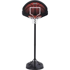 Lifetime Youth Basketball System