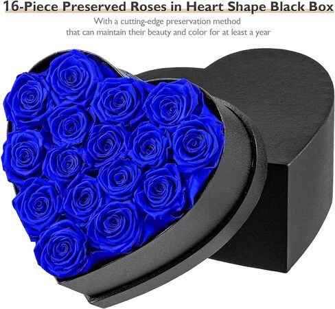 زهور إترفيلد إلى الأبد في صندوق على شكل قلب، ورود محفوظة تدوم لأكثر من عام، هدايا للأم والزوجة وعيد الحب وعيد الأم (صندوق أسود، 16 وردة زرقاء ملكية) in Kuwait