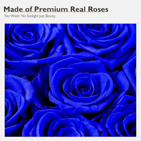 زهور إترفيلد إلى الأبد في صندوق على شكل قلب، ورود محفوظة تدوم لأكثر من عام، هدايا للأم والزوجة وعيد الحب وعيد الأم (صندوق أسود، 16 وردة زرقاء ملكية) in Kuwait