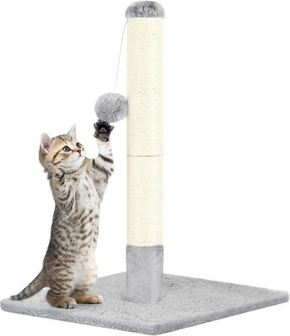Cat Scratching Post 24.4 Inch Tall Cat Scratch Post with Natural Sisal Rope and Hanging Ball Cat Post Scratcher for Indoor Cats, Dark Grey in Saudi Arabia