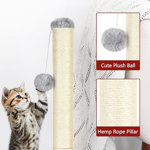 Cat Scratching Post 24.4 Inch Tall Cat Scratch Post with Natural Sisal Rope and Hanging Ball Cat Post Scratcher for Indoor Cats, Dark Grey in Saudi Arabia