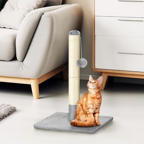 Cat Scratching Post 24.4 Inch Tall Cat Scratch Post with Natural Sisal Rope and Hanging Ball Cat Post Scratcher for Indoor Cats, Dark Grey in Saudi Arabia