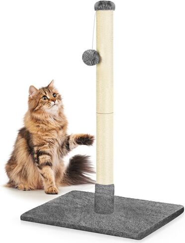 Cat Scratching Post 24.4 Inch Tall Cat Scratch Post with Natural Sisal Rope and Hanging Ball Cat Post Scratcher for Indoor Cats, Dark Grey in Saudi Arabia