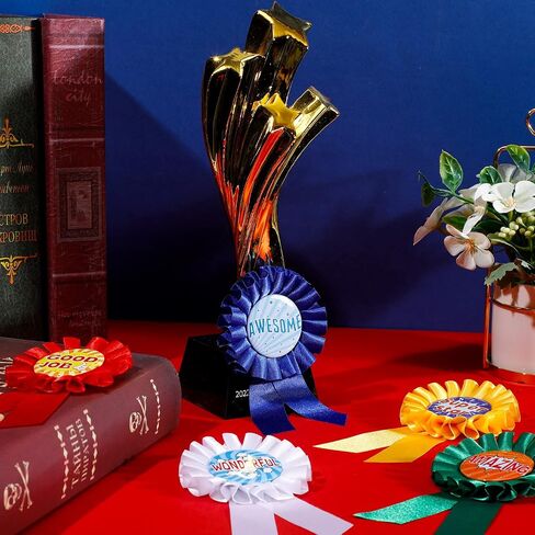 Inspirational Award Ribbon Rosette Ribbon Motivational Prize Ribbon Satin Victory Honorable Recognition Ribbons Badge for Kids Student Winner Competition Classroom School 5 Designs (20 Pcs) in Saudi Arabia
