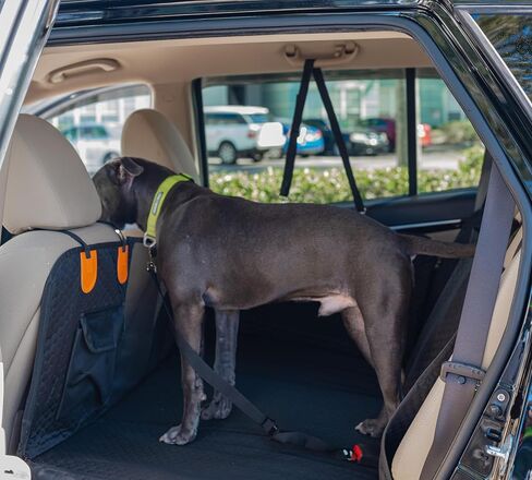 Back Seat Extender for Dogs, Hard Bottom Dog Car Seat Cover, Car Seat Waterproof Bed, Dog Hammock for Car, Pet Backseat Protector with Mesh Window and Storage Pocket for Car, SUV in Saudi Arabia