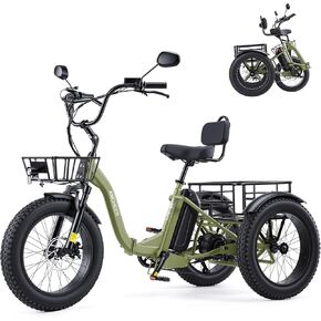 ANCHEER Electric Tricycle for Adults, 48V/864WH E Trike, 750W(Peak 1000W) Motor, 20"x4.0" Fat Tire 3 Wheeler Electric Bike, 3A Fast Charger, 15.5MPH, 60 Miles, Parking, Differential, UL2849 Compliant in Saudi Arabia
