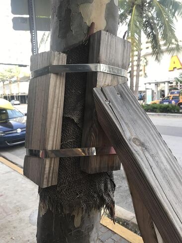 USA 304 شريط من الفولاذ المقاوم للصدأ 1/2 بوصة × 0.030 بوصة × 100 بوصة - موزع بلاستيكي أحمر (FTA530712735PR) in Kuwait