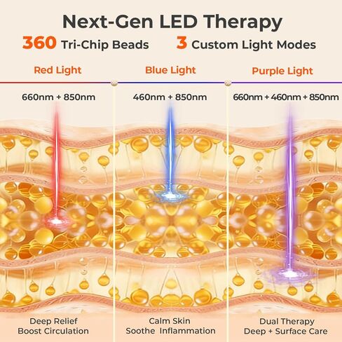 Red & Blue Light Therapy Mat for Body 33"×17" – 360 LEDs Infrared Light Pad (460nm + 660nm + 850nm) for Back, Waist, Knees & Joints Pain Relief, 60W Red Light Therapy Panel for Men & Women in Kuwait