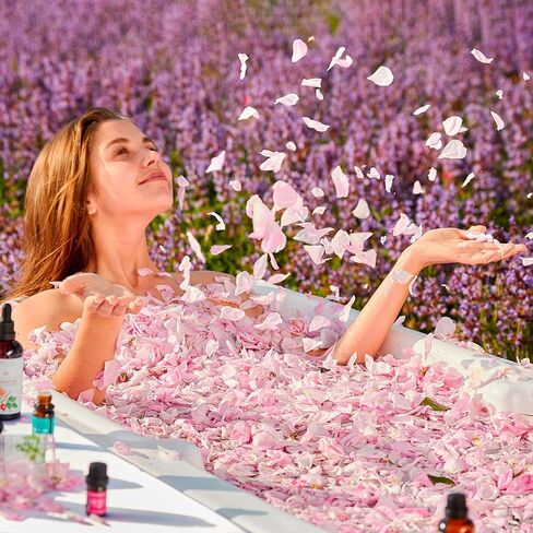 ايسنس بلغاريا زيت الورد العطري العضوي 1/6 أونصة سائلة | 5 مل | الوردة الدمشقية | نقي وطبيعي 100% | غير مخفف | الصف العلاجي | مزرعة مملوكة لعائلة | مقطر بالبخار | غير معدل وراثيًا | نباتي in Kuwait