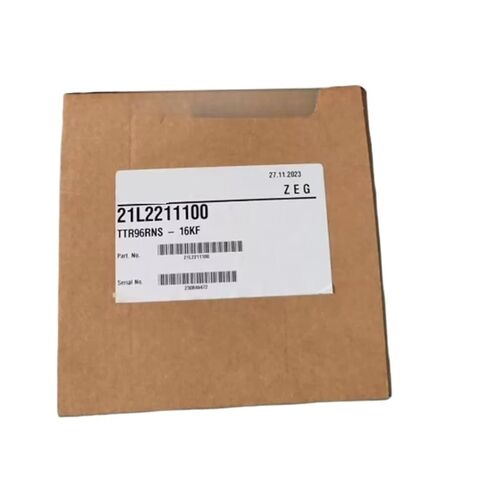 Vacuum Gauge TTR96RNS-16KF 21L2211100 for Factories for Measuring and Regulating Air Pressure, Etc in Saudi Arabia