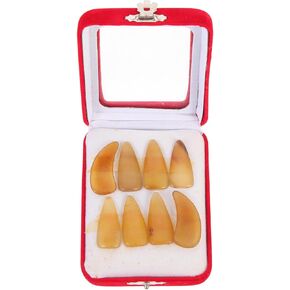 أغطية حماية أطراف الأصابع من توياندونا جوزينج، متوسطة الحجم، سميكة للأظافر الزائفة لممارسة جوزينج، أداة خيط تستخدم أعواد الأصابع، حزمة ألوان متنوعة، ألوان عشوائية in Kuwait