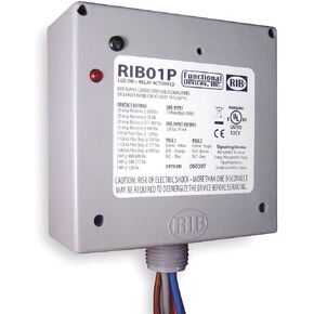 RIB01P Enclosed Pre-Wired Relay, 20A@300Vac, Dpdt in Kuwait