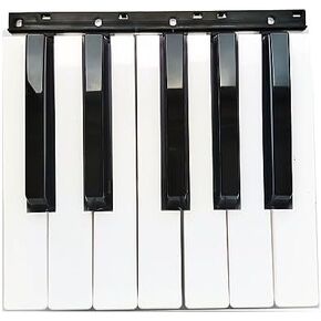 جزء لوحة مفاتيح بديلة باللون الأسود والأبيض لـ Korg PA500 PA600 PA700 PA300 (12 مفتاحًا أسود أبيض) in Kuwait